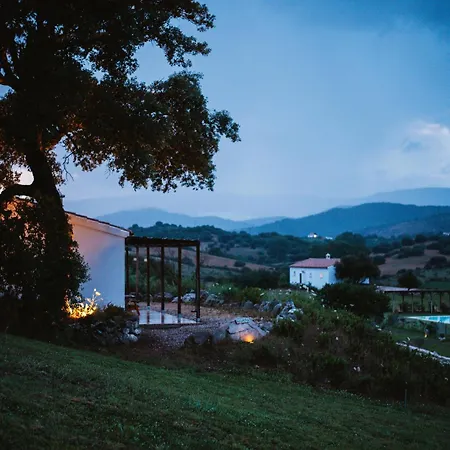 Santu Martine: With Pool Villa Galtelli