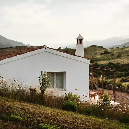 Villa Santu Martine: With Pool Galtelli